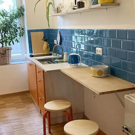 Little Fine Close To Leipzig Апартаменты Цайц